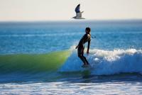 Surfer Poll 2009 Photo of the Year Nominees