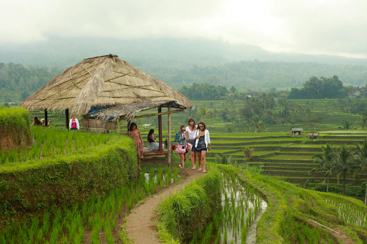 Bananacamp Bali