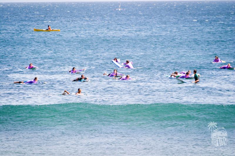 SurfVan Camp