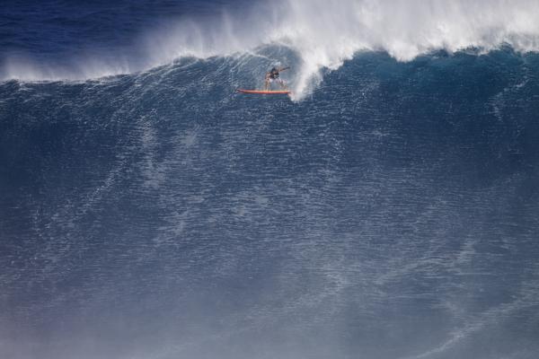 Paddling into Jaws