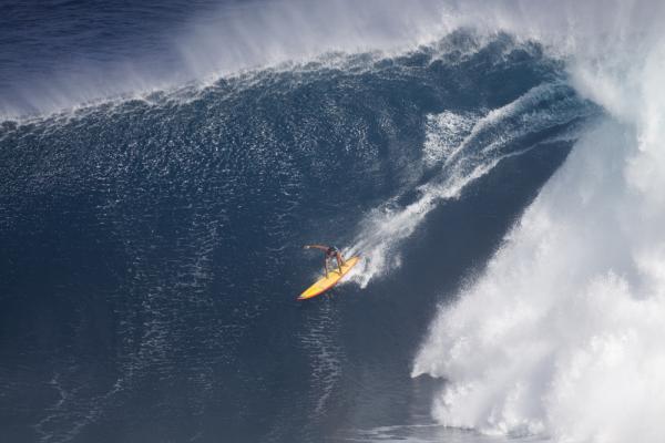 Paddling into Jaws