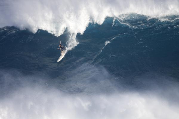 Paddling into Jaws