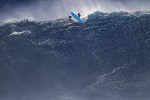 Paddling into Jaws