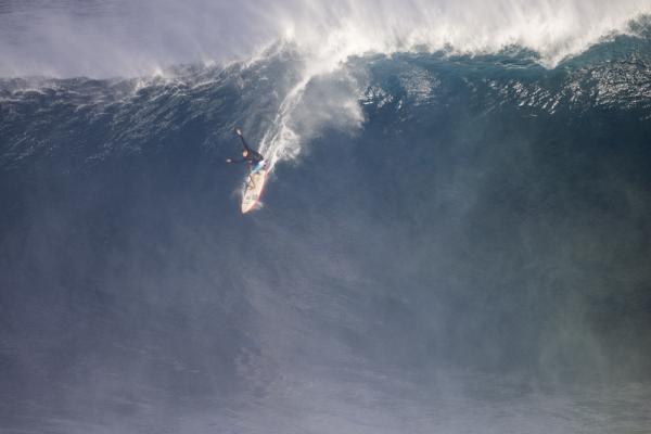 Paddling into Jaws