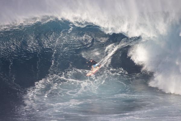 Paddling into Jaws