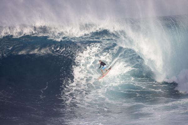 Paddling into Jaws