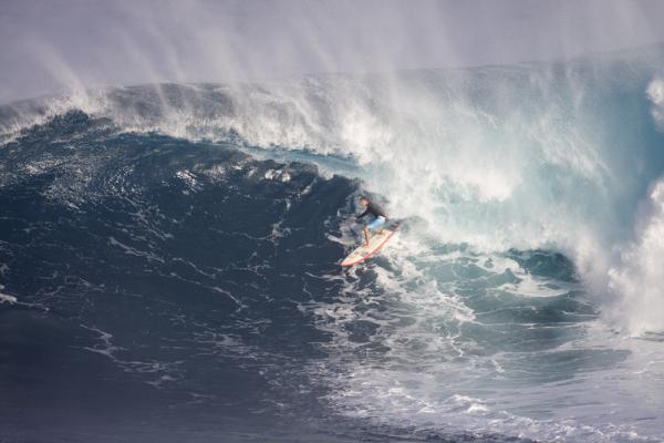 Paddling into Jaws