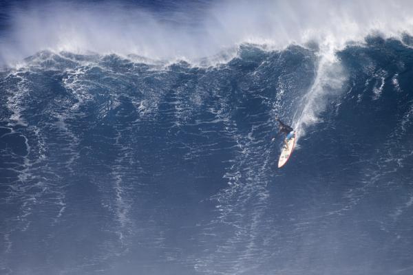 Paddling into Jaws