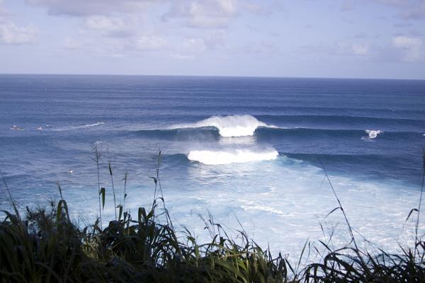 Paddling into Jaws