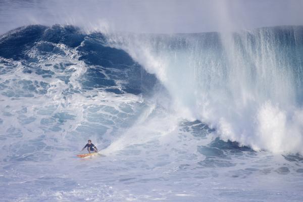 Paddling into Jaws