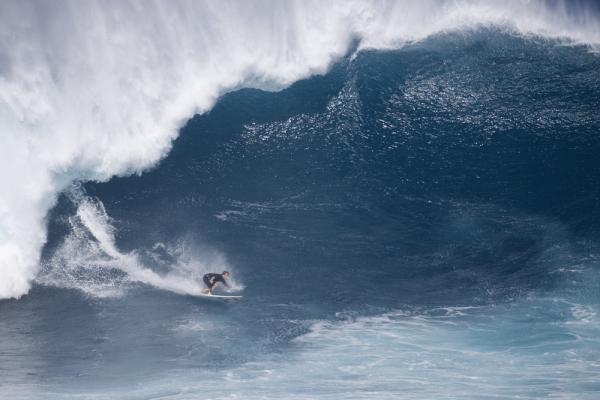 Paddling into Jaws