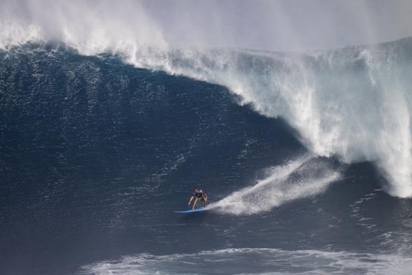 Paddling into Jaws