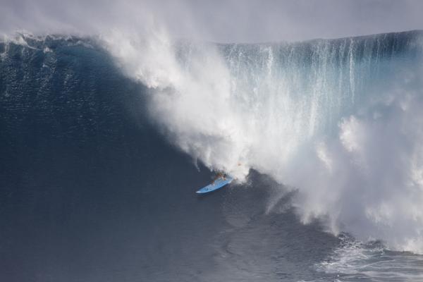 Paddling into Jaws