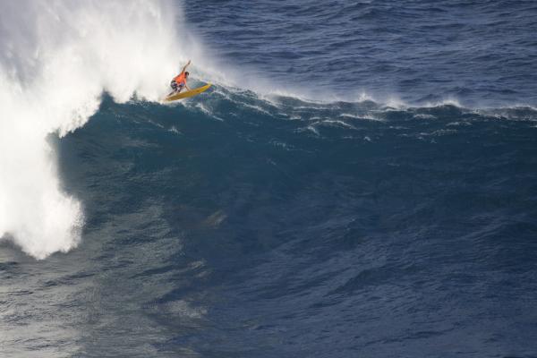 Paddling into Jaws